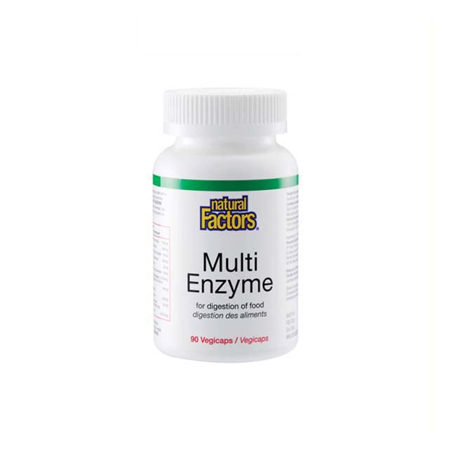 NATURAL FACTORS MULTI ENZYME 90S