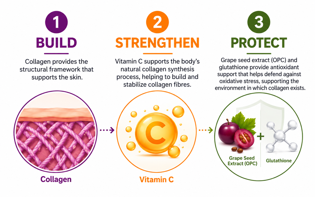 Collagen and Skin Health: Build, Strengthen, Protect & Preserve