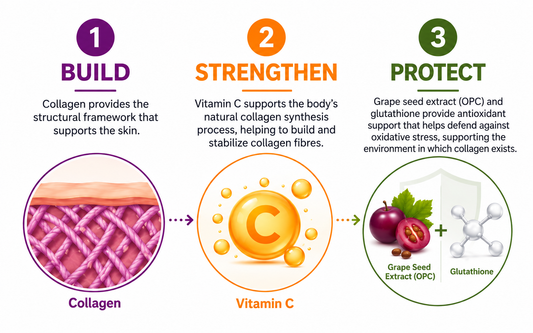 Collagen and Skin Health: Build, Strengthen, Protect & Preserve