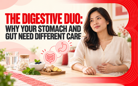 The Digestive Duo: Why Your Stomach and Gut Need Different Care