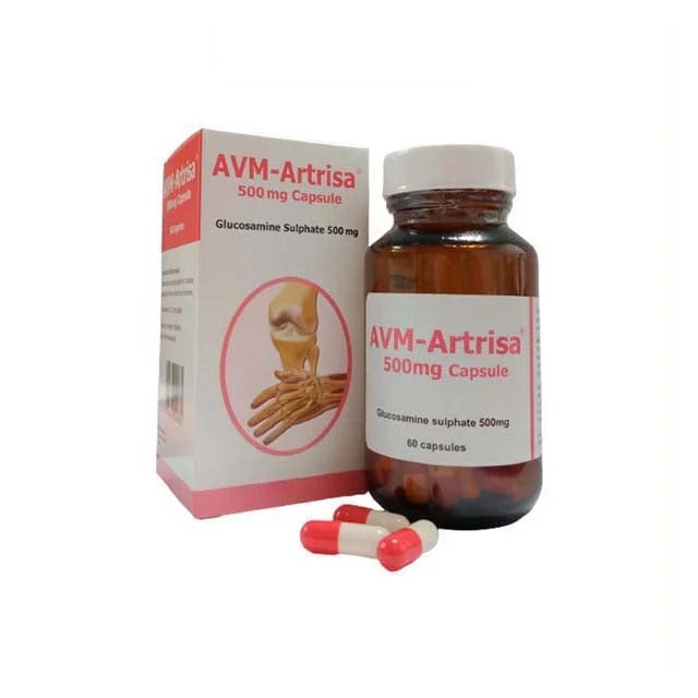 AVM-ARTRISA 500MG 60S