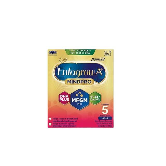 ENFAGROW A+ MINDPRO 2FL STEP 5 ORIGINAL580G