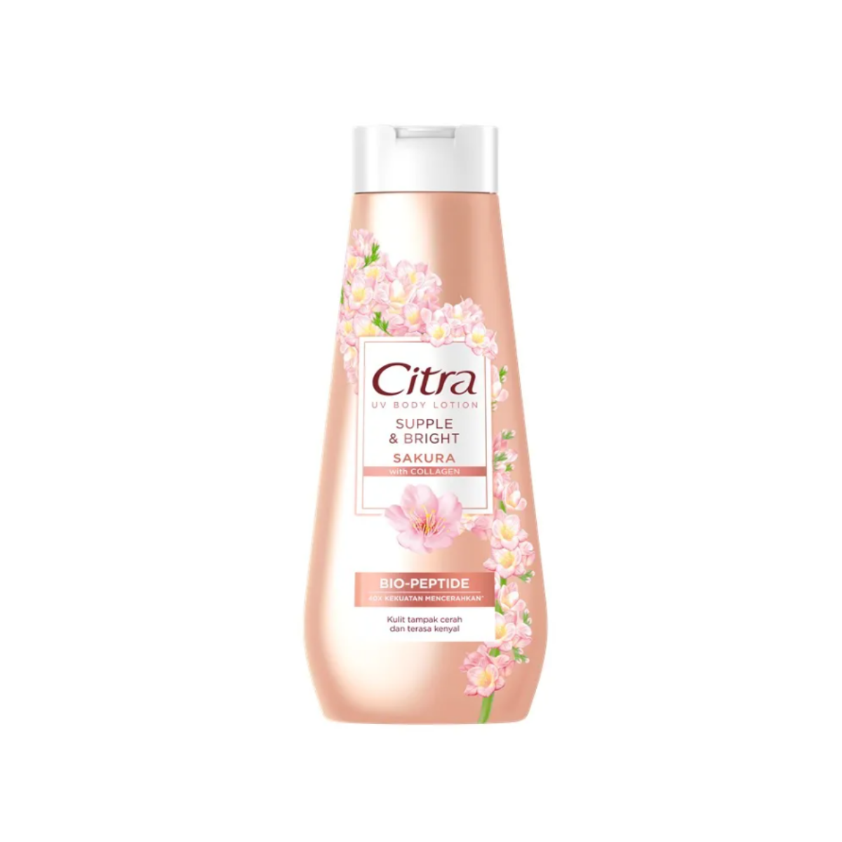 CITRA UV BODY LOTION SUPPLE & BRIGHT SAKURA 210ML