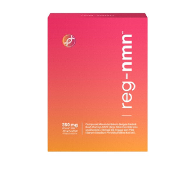 REG-NMN 2G 20S