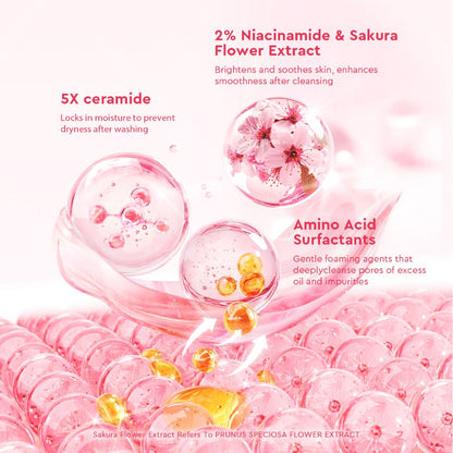 GLAD2GLOW NIACINAMIDE FACIAL WASH 70G