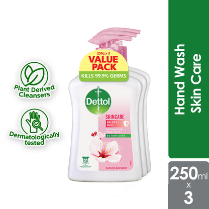 DETTOL ANTIBACTERIAL HAND WASH LIQUID SKINCARE 250ML 3S