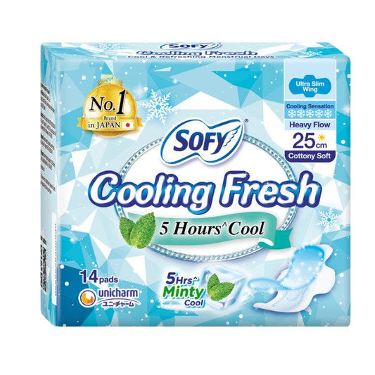 SOFY COOLING FRESH DAY ULTRA SLIM WING 25CM 14S