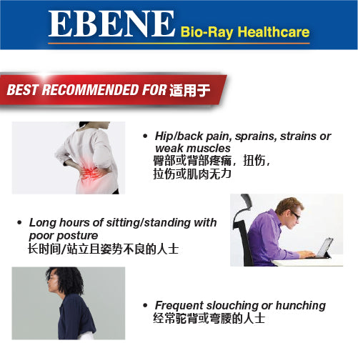 EBENE BIO-RAY BACK SUPPORT BELT (FREE SIZE)
