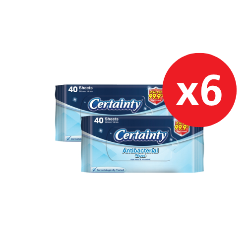 CERTAINTY ANTIBACTERIAL WIPES 40SX2 X 6