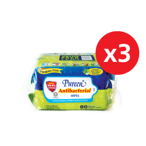 PUREEN ANTIBACTERIAL WIPES 80SX6