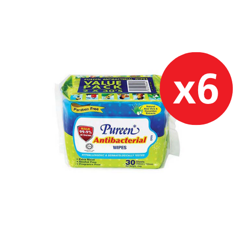 PUREEN ANTI-BACTERIAL WIPES (ABW 2030) 30S x 12
