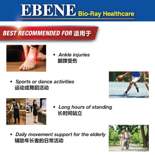 EBENE BR EX STRENGTH ANKLE GUARD 1S FREE SIZE