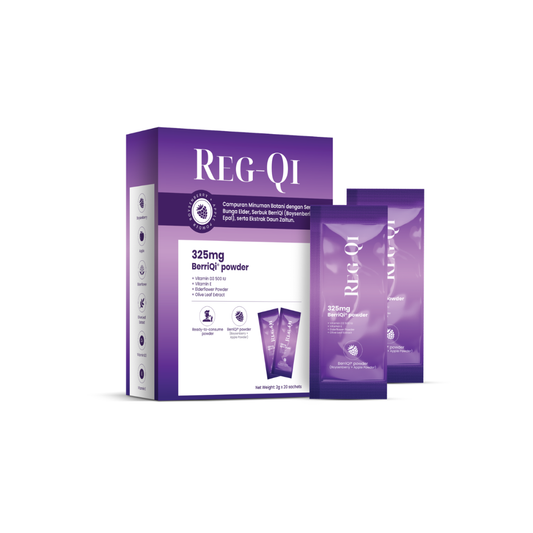 REG-QI  2G       20S