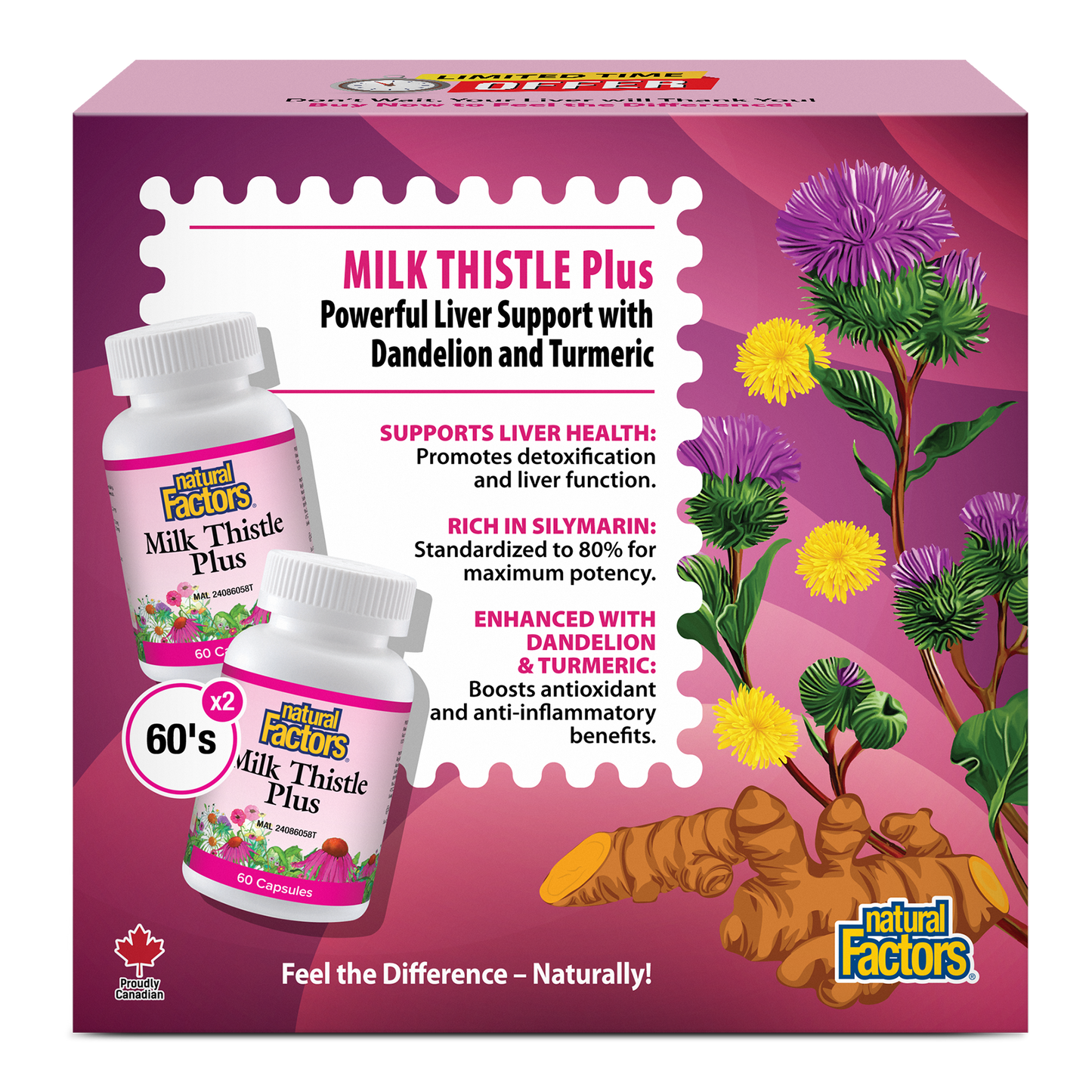 NATURAL FACTORS MILK THISTLE PLUS 60SX2