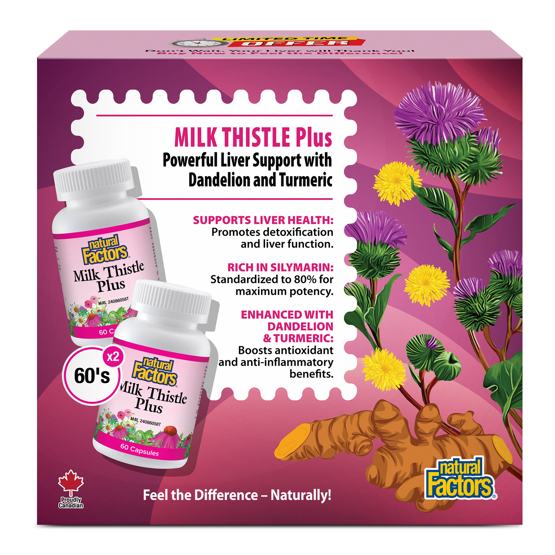 NATURAL FACTORS MILK THISTLE PLUS 60SX2