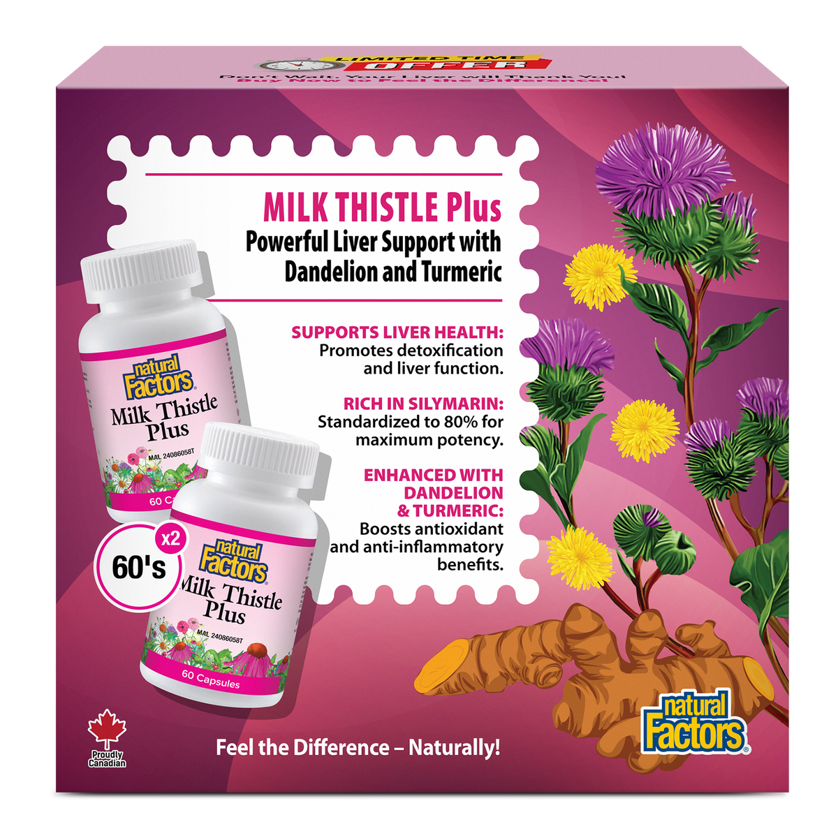 NATURAL FACTORS MILK THISTLE PLUS 60SX2