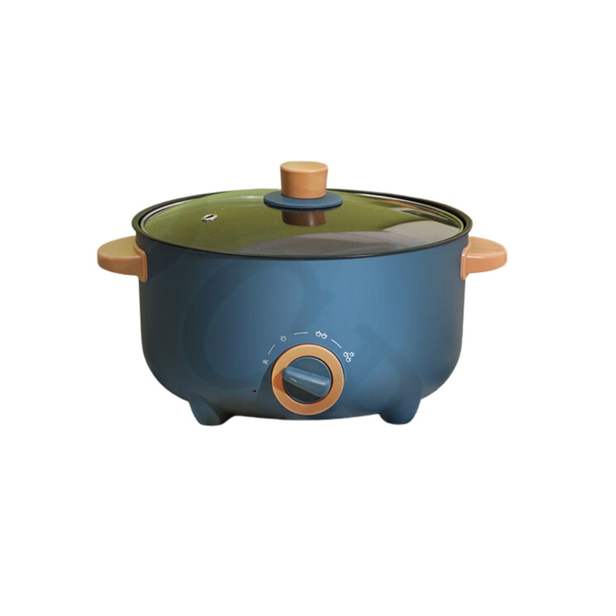 MULTIFUNCTIONAL ELECTRIC COOKER-BGWP