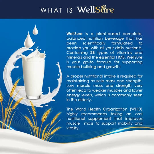 KINOHIMITSU WELLSURE 850G 2S + PREMIUM