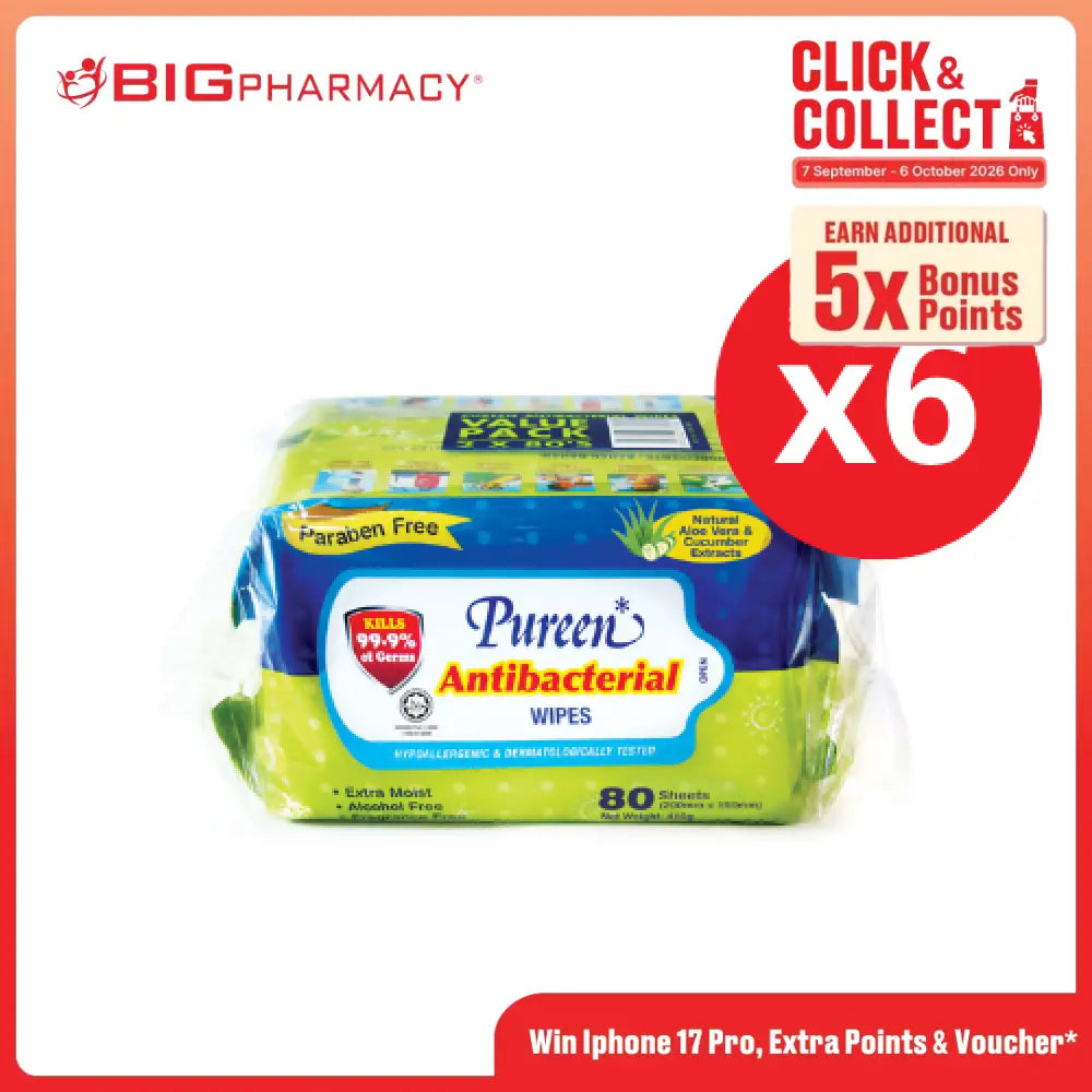 PUREEN ANTI-BACTERIAL WIPES (ABW 2080) 80S x 12