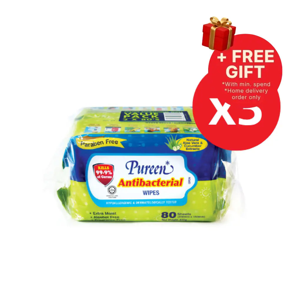 PUREEN ANTIBACTERIAL WIPES 80SX6