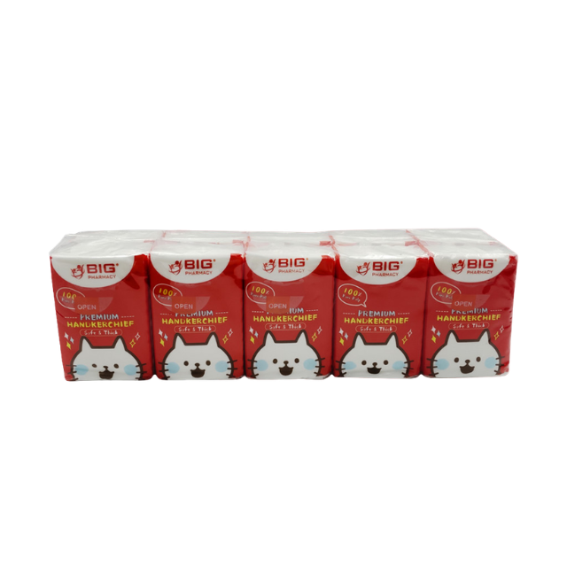 BIG PHARMACY MINI HANKIES 3PLY 8SX10