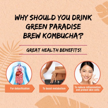 GREEN PARADISE KOMBUCHA POMEGRANATE 5G X 10S