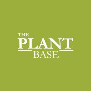 the plant base 